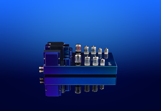 EA 41c Peacock side